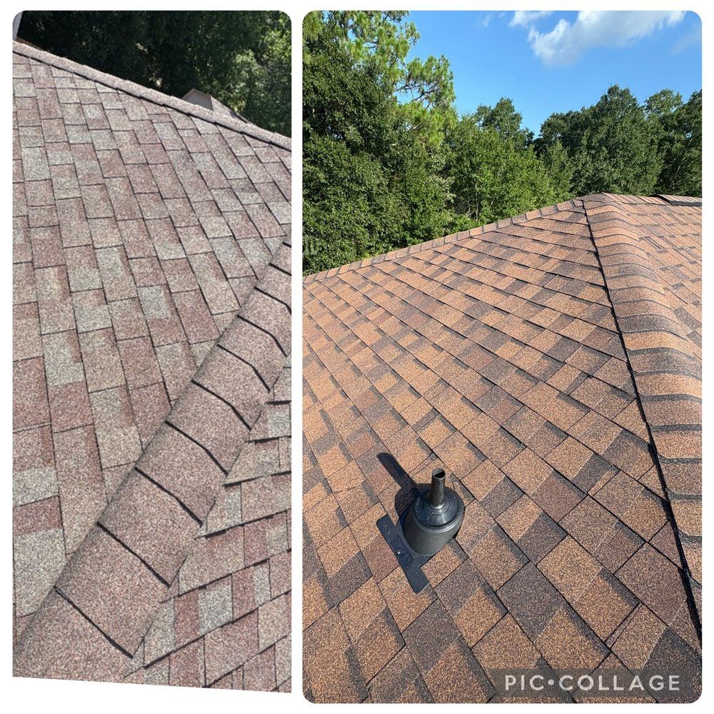 Two sections of a brown shingle roof with trees in the background, clear sky.