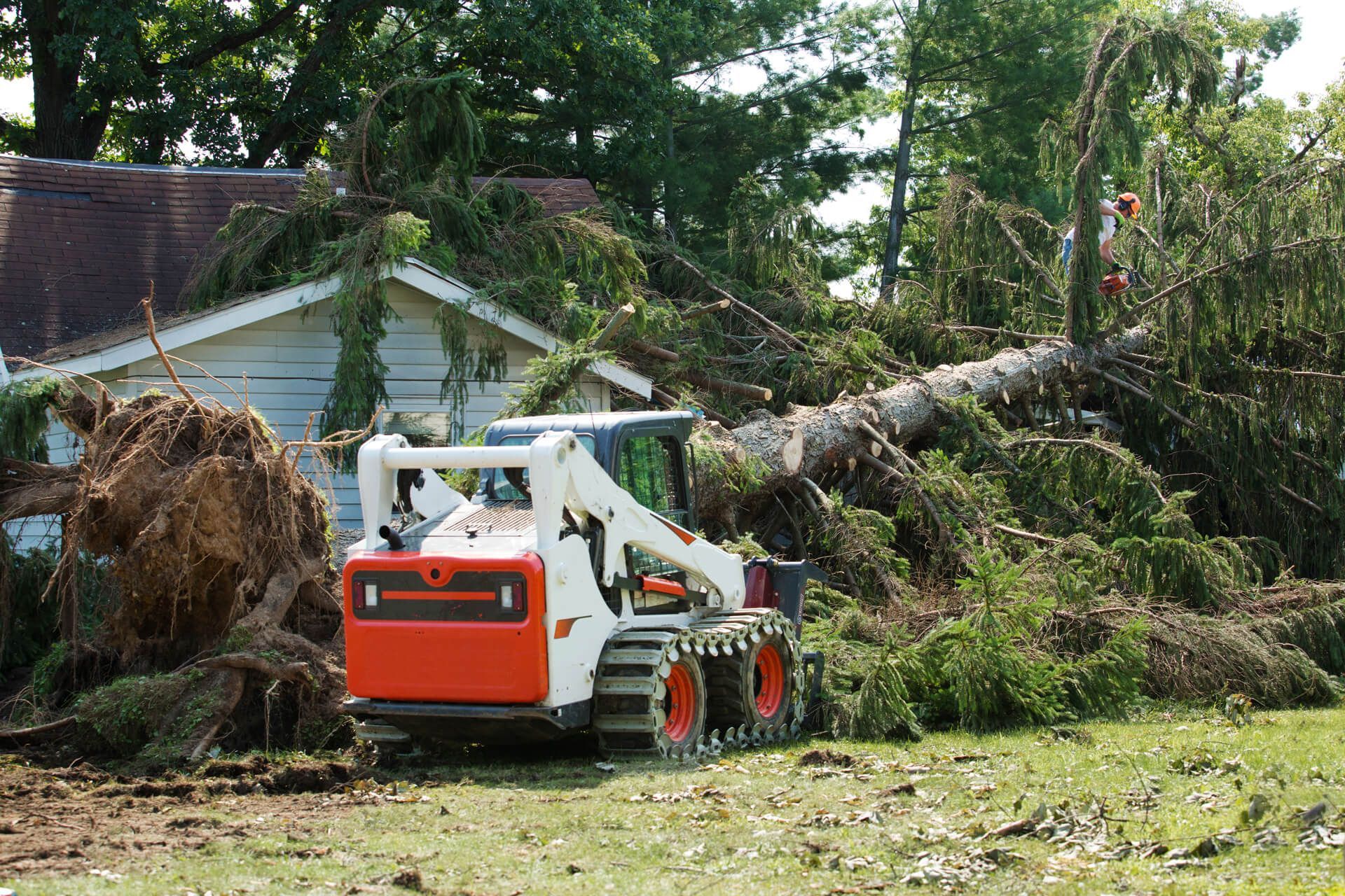 A bobcat is moving a pile of fallen trees in front of a house