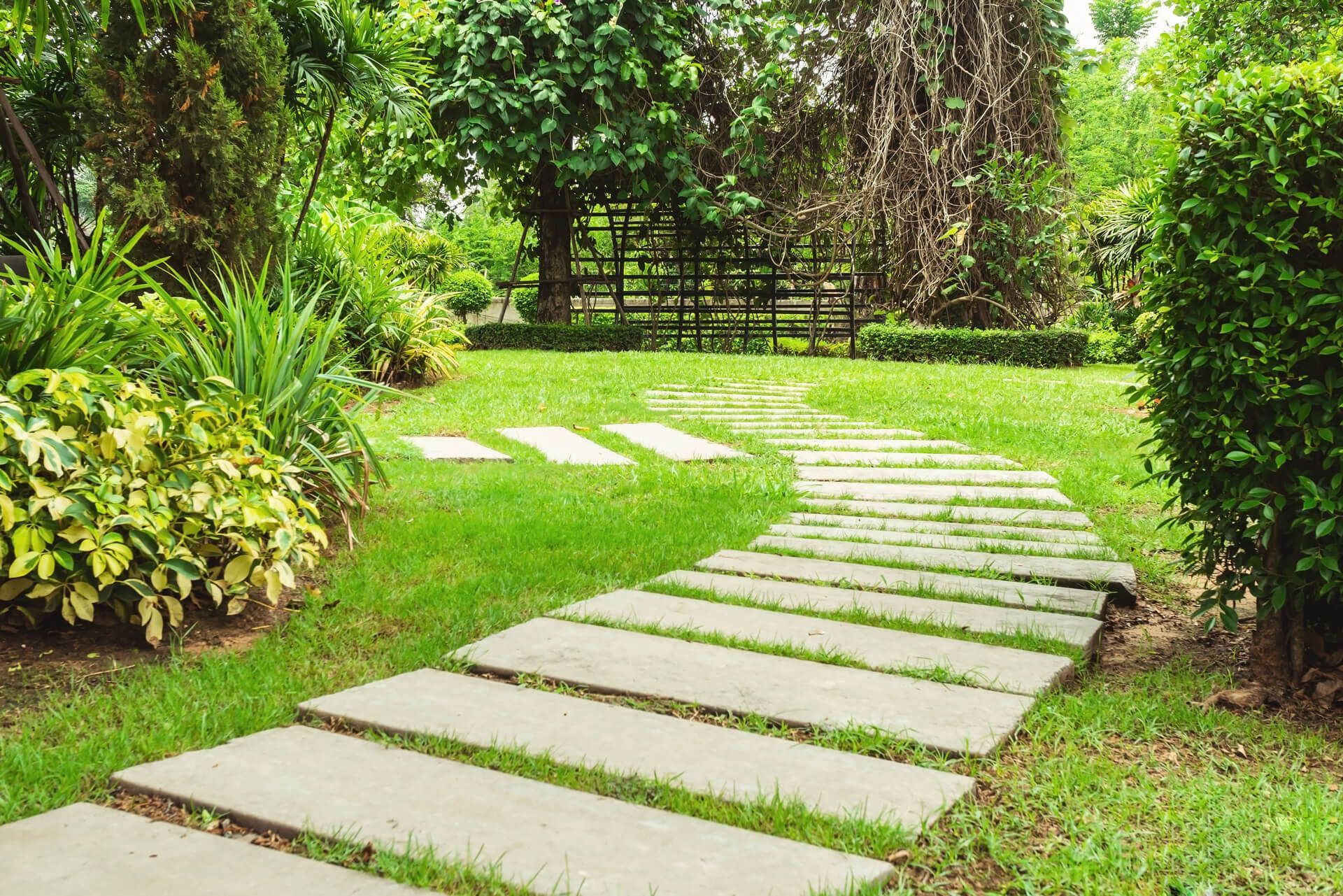 A stone walkway leading through a lush green garden