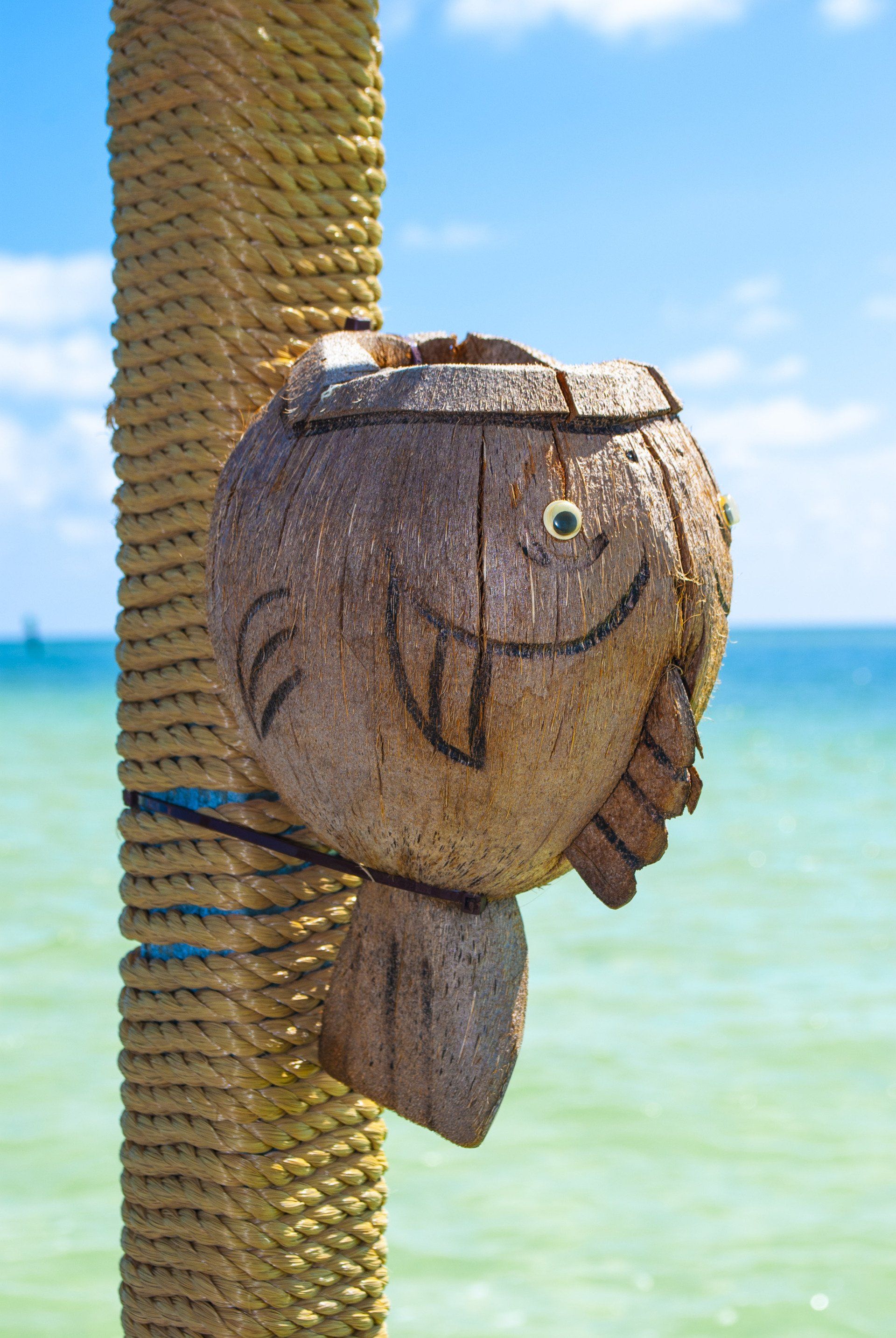 Coconut husk shaped like a fish