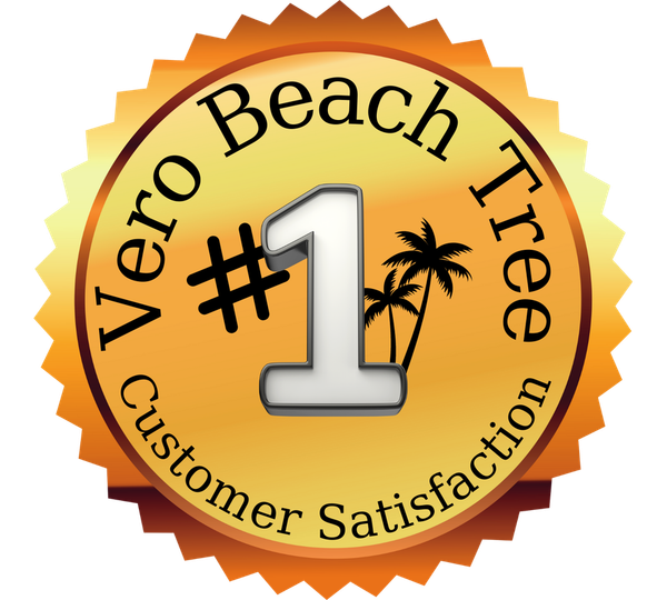 An Image of Tree Service Customer Satisfaction in Vero Beach, FL