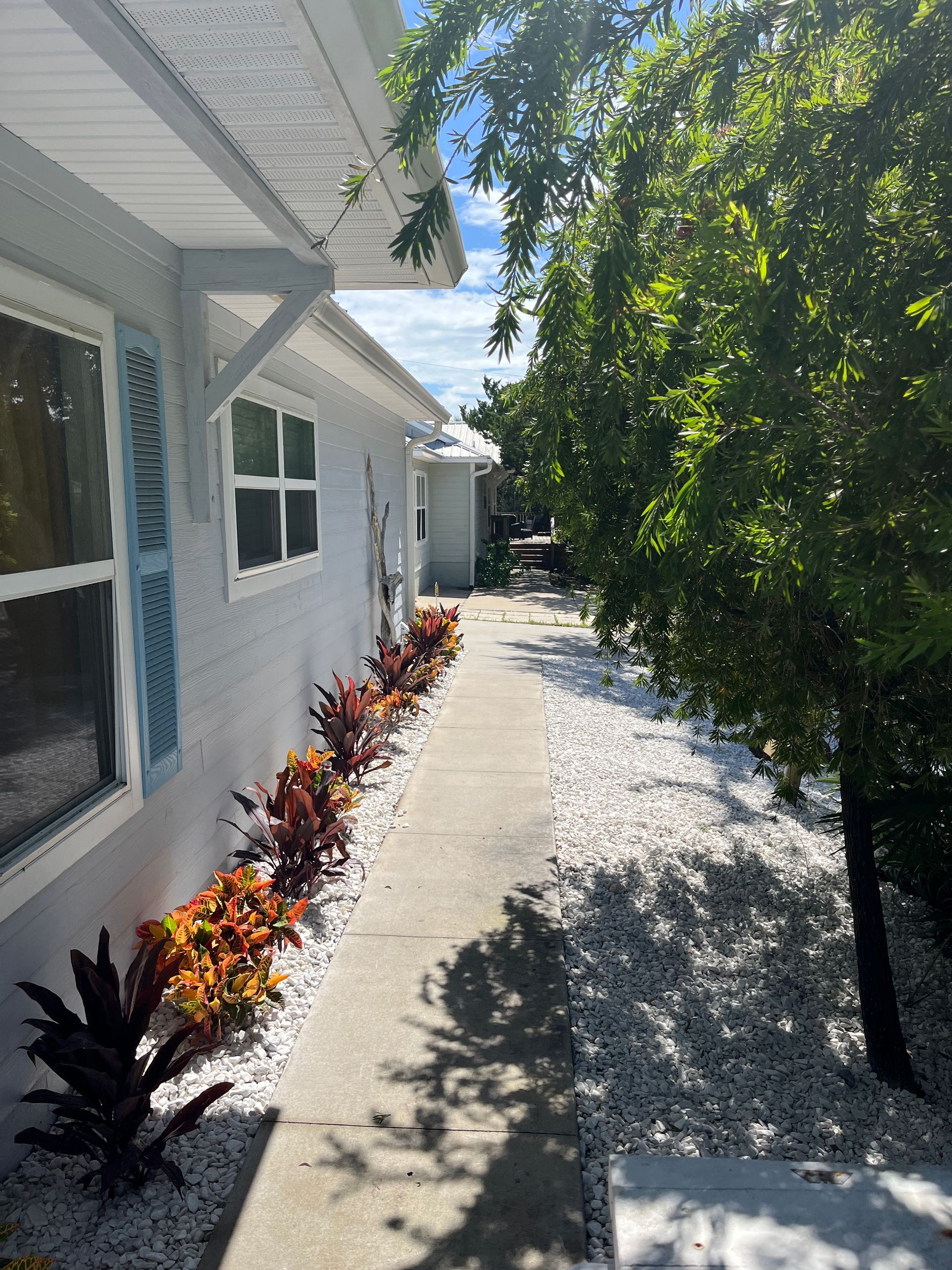 A sidewalk leading to a house with a lot of plants on it.