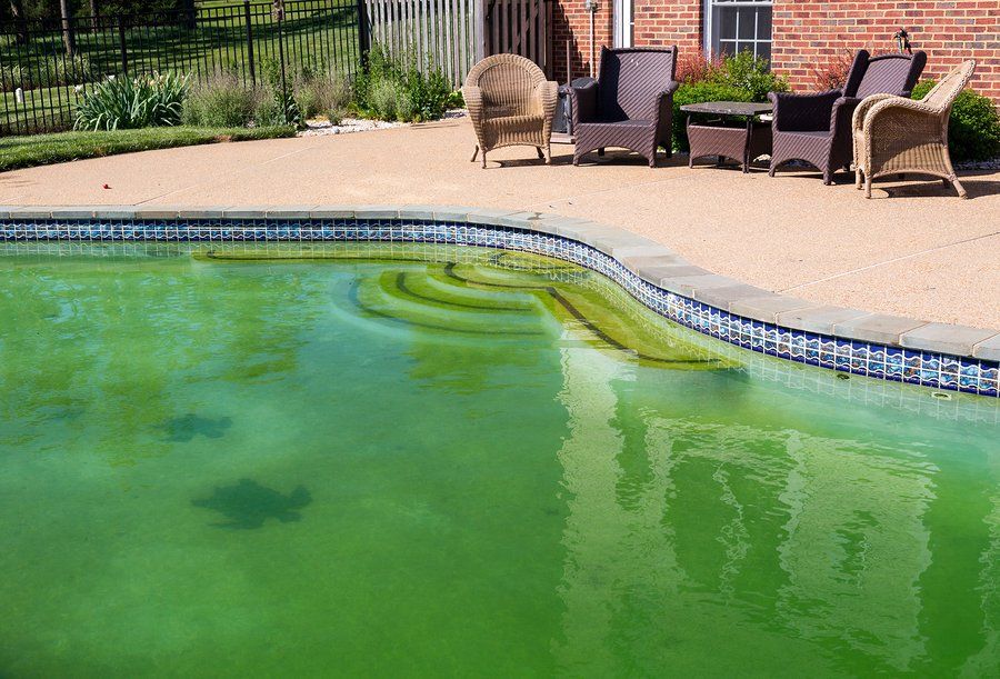 clean green pool