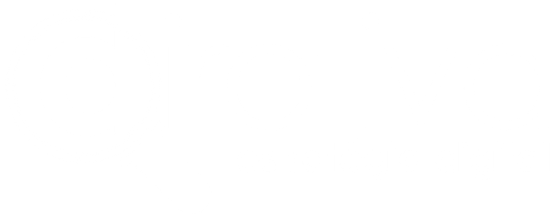 Logo Agencia Diretiva Brasil