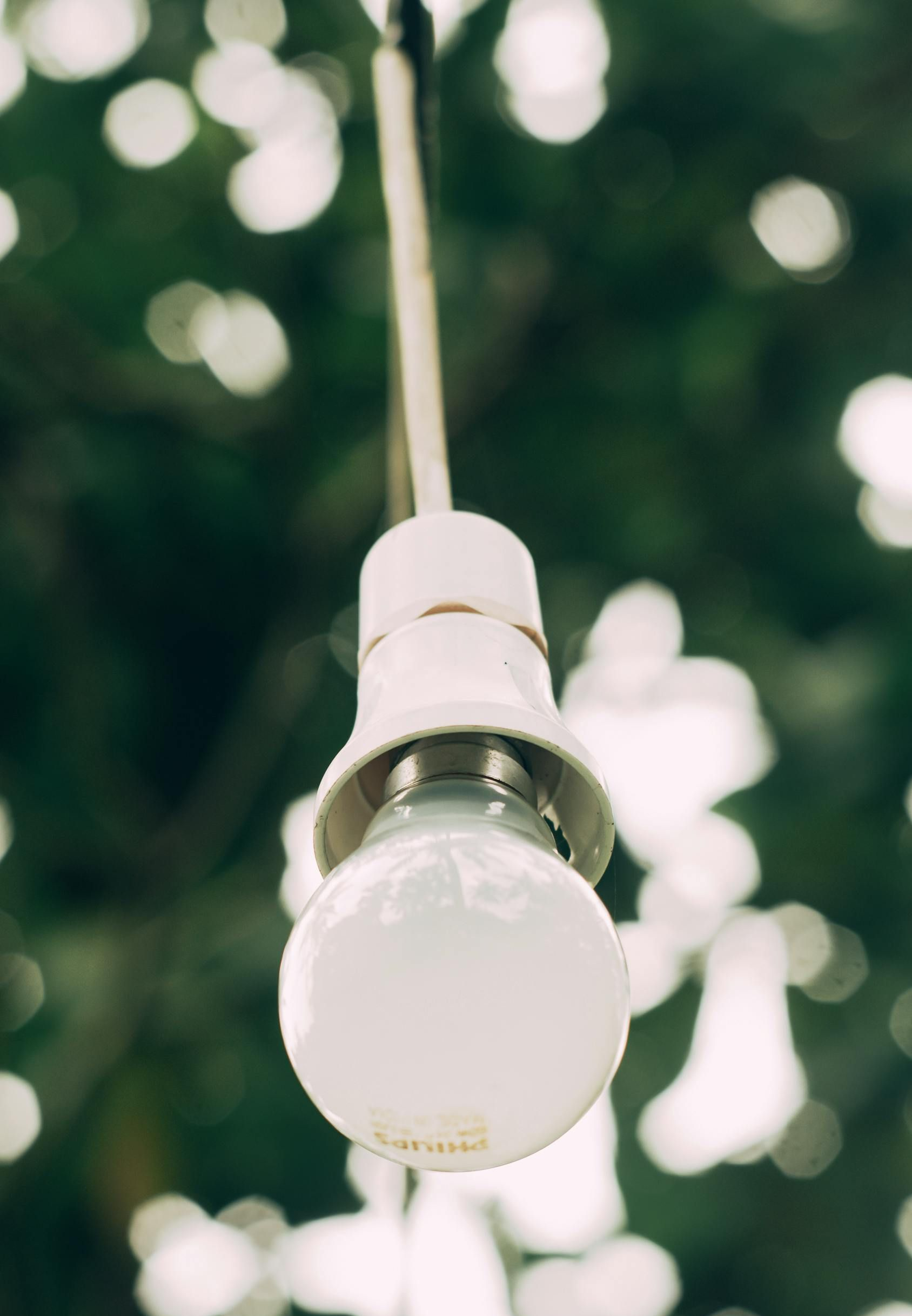 White lightbulb hanging from a white cord; green foliage in background.