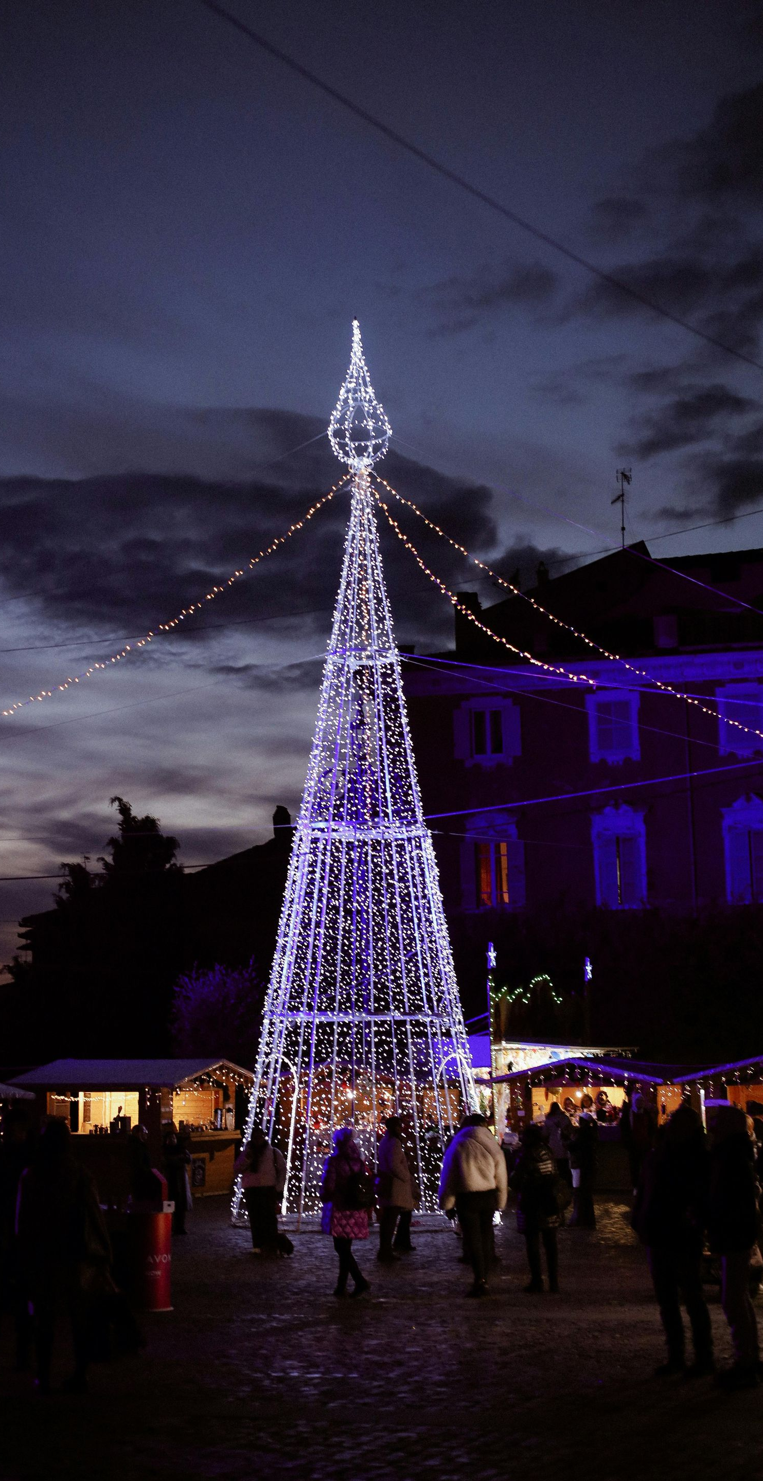 Lit Christmas tree in a plaza at dusk; stalls and people in the background, purple lights.
