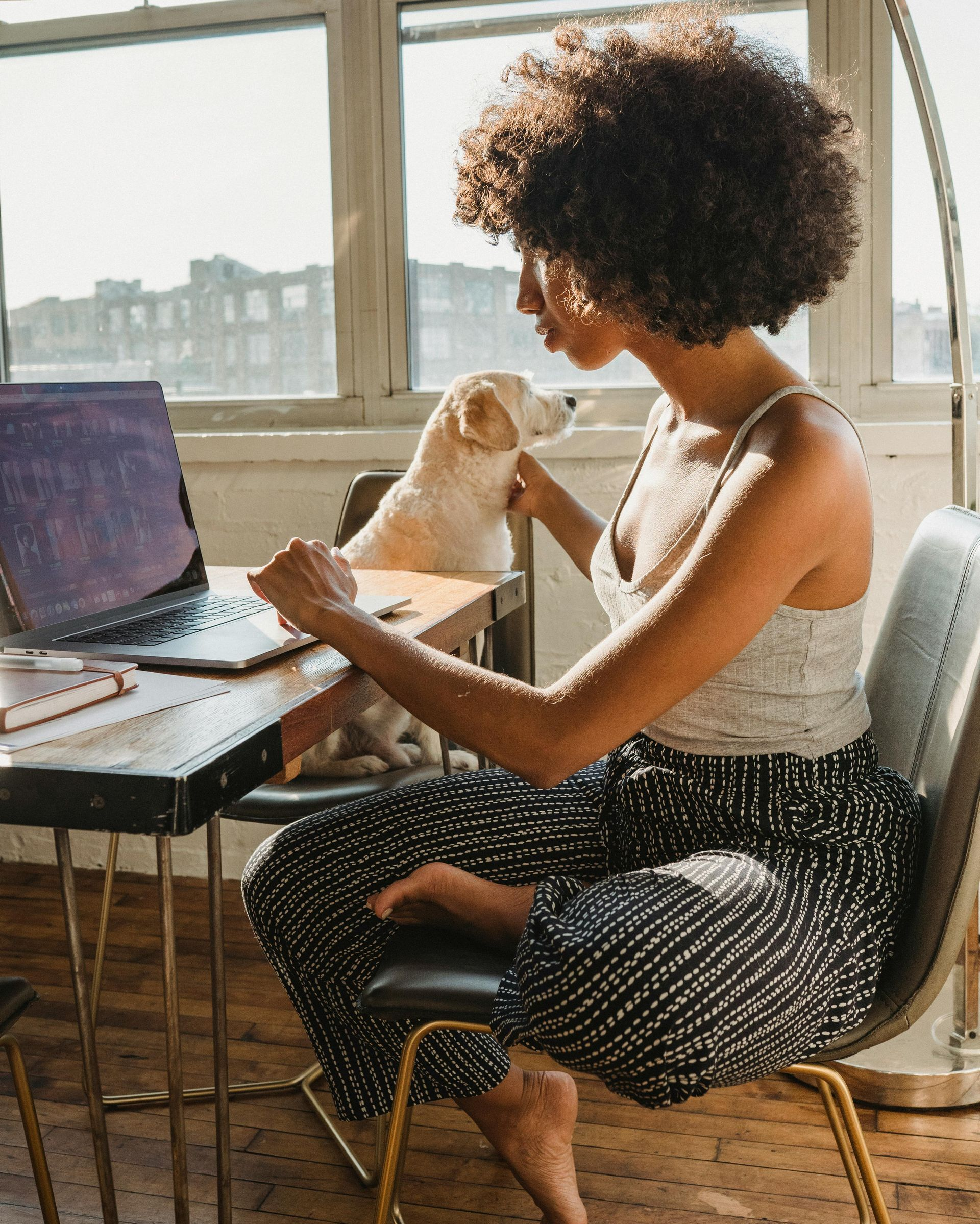 A person with curly hair sits at a desk working on a laptop, with a small dog looking at them beside the computer.