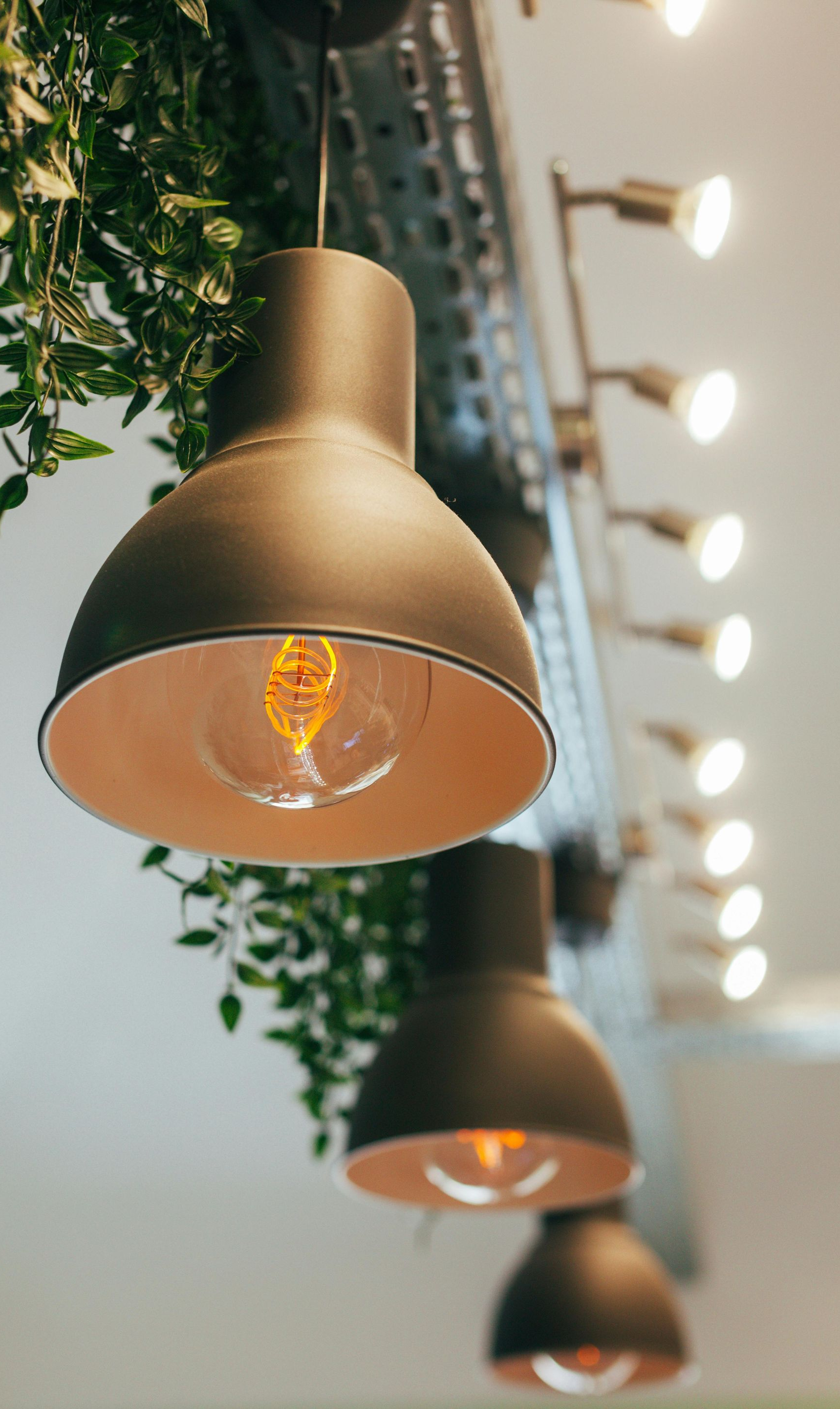 Close-up of three dark pendant lights with exposed light bulbs, with a strip of spotlights and greenery.