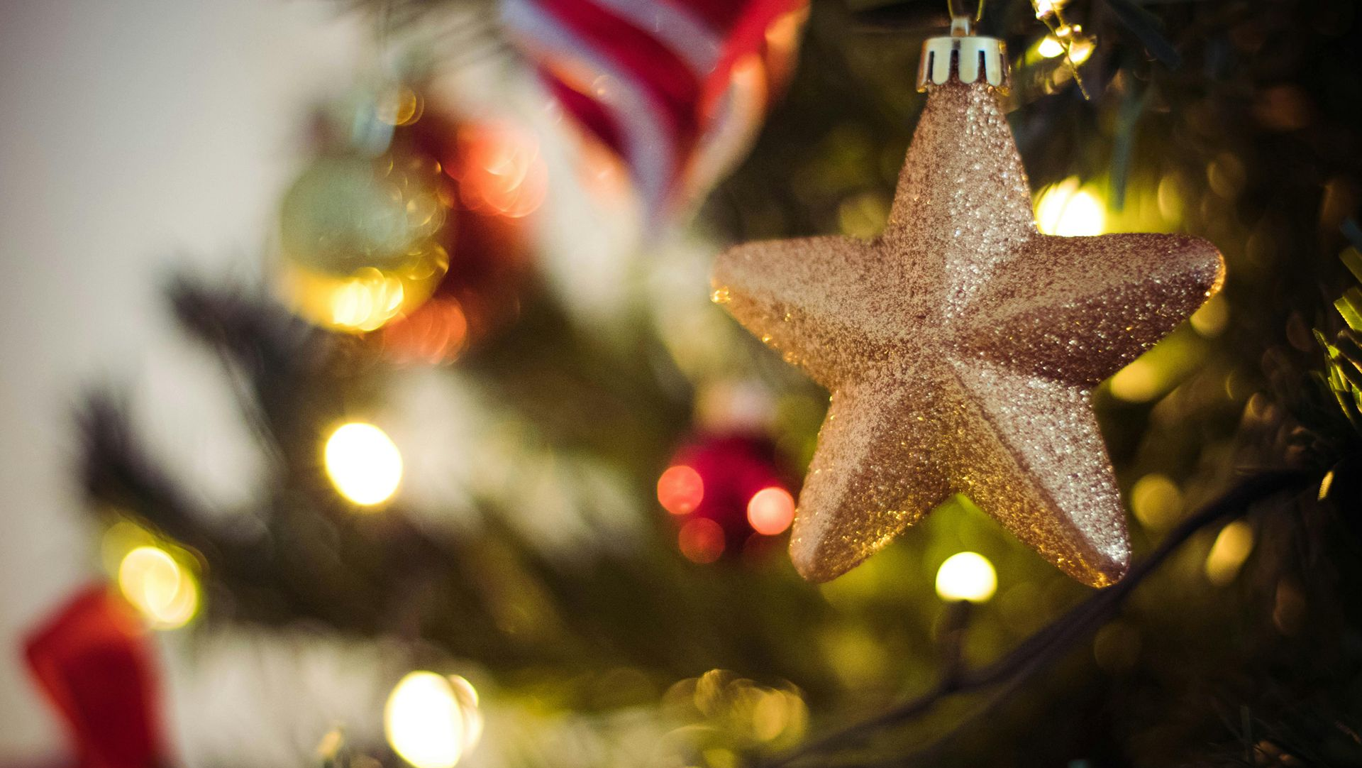 Gold star ornament on a Christmas tree with other ornaments and lights.