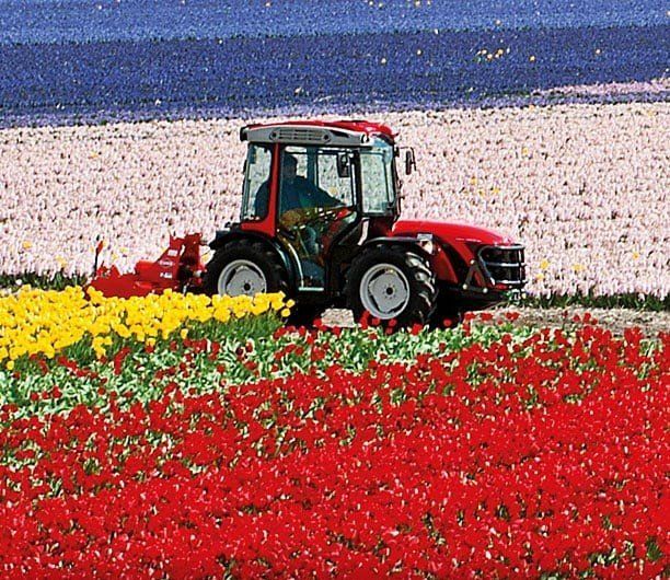 Trattore in campo di fiori