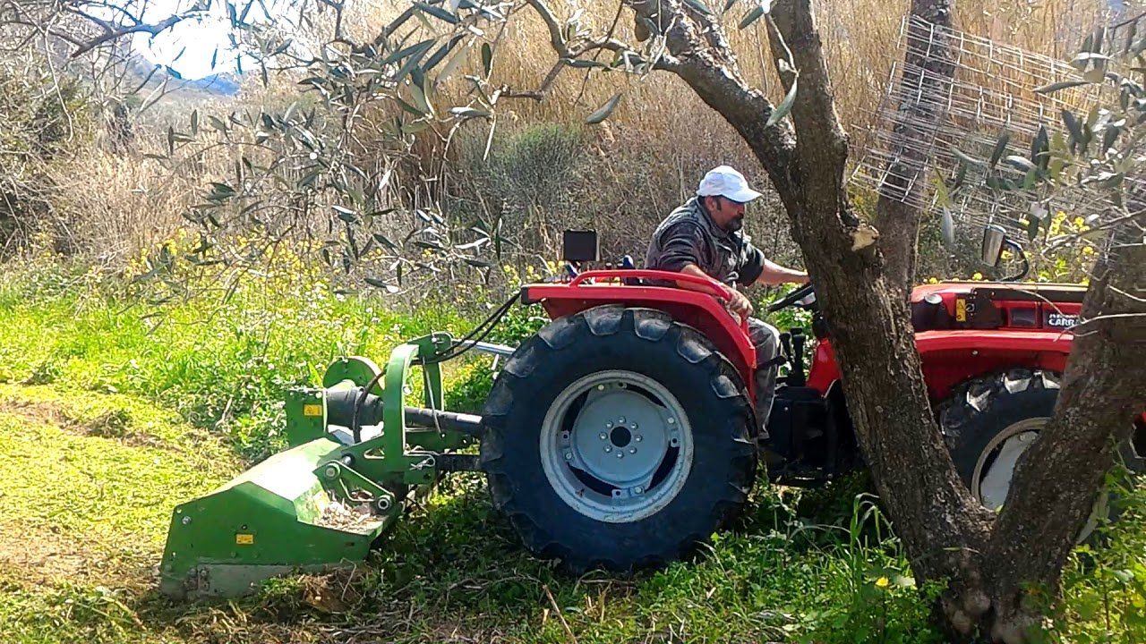 Trattore vicino albero