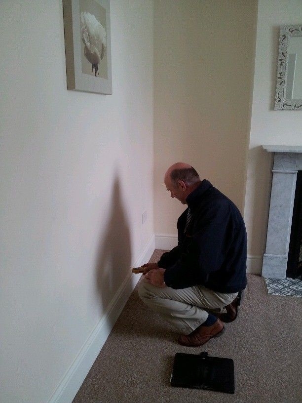 A Maljon surveyor taking damp readings in a property.