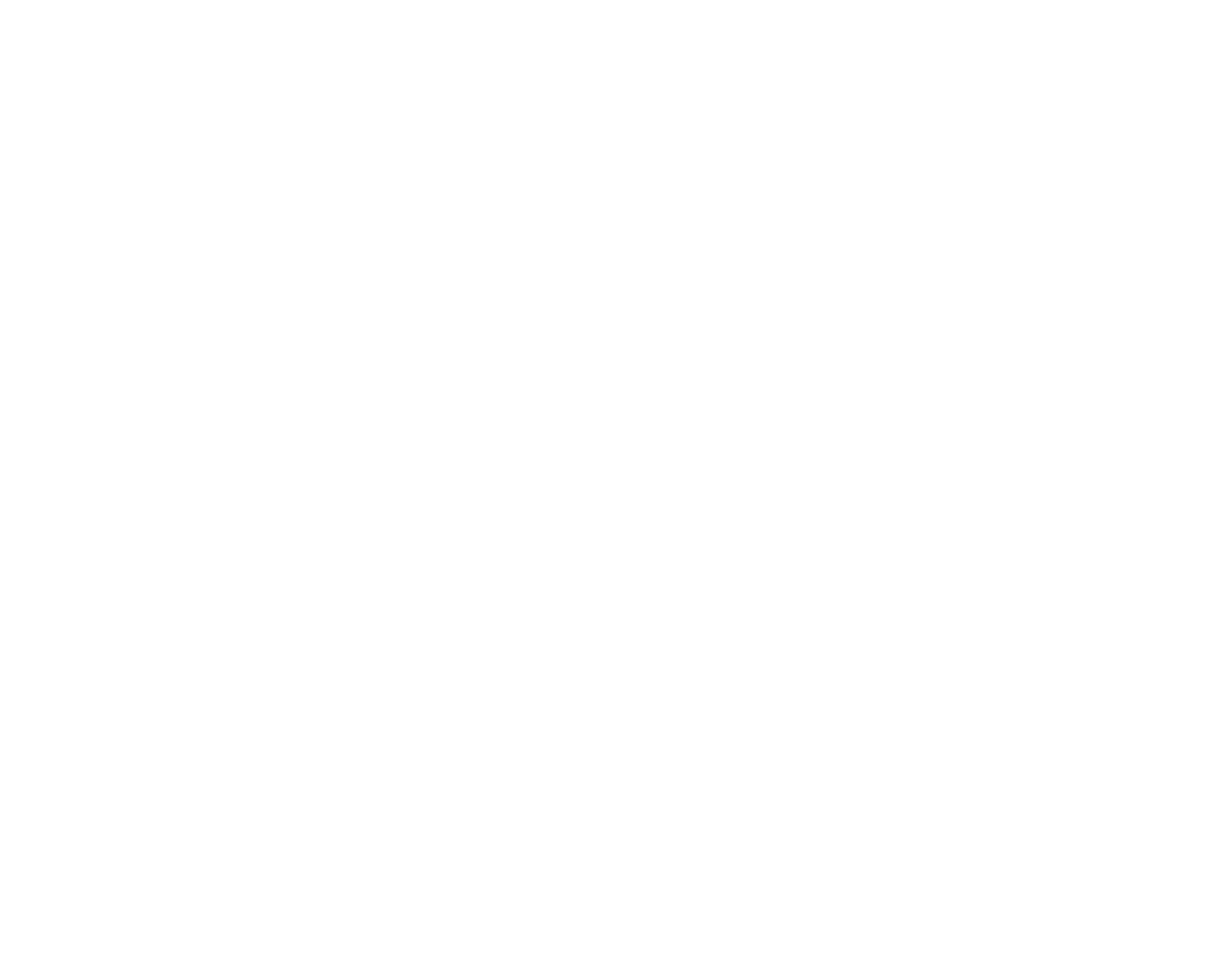 Pali Pressure Pros logo