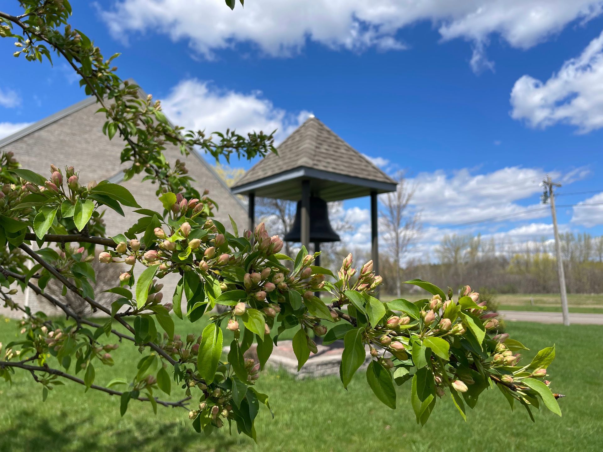Volunteers bag food at a food shelf.