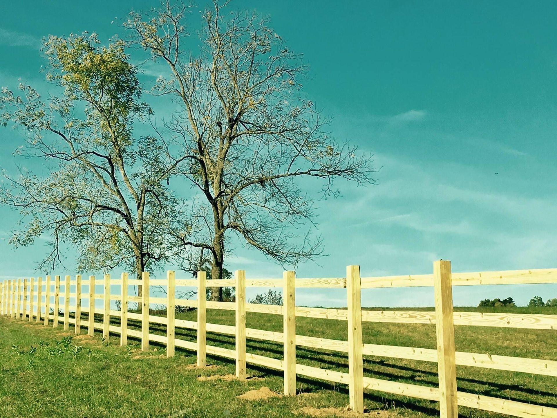 A wooden fence surrounds a grassy field with trees in the background.