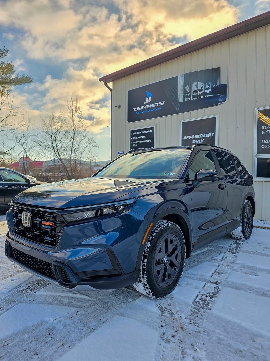 Paint Protection Film for Cars