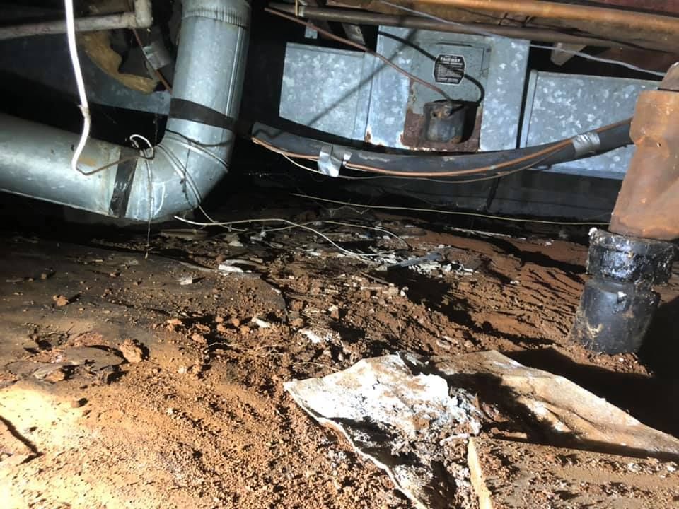 Affordable Biohazard & Trauma Scene Cleanup