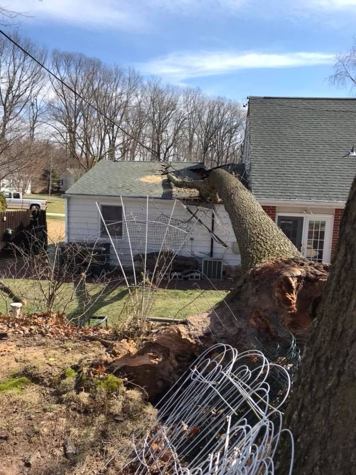 24/7 Restoration Services