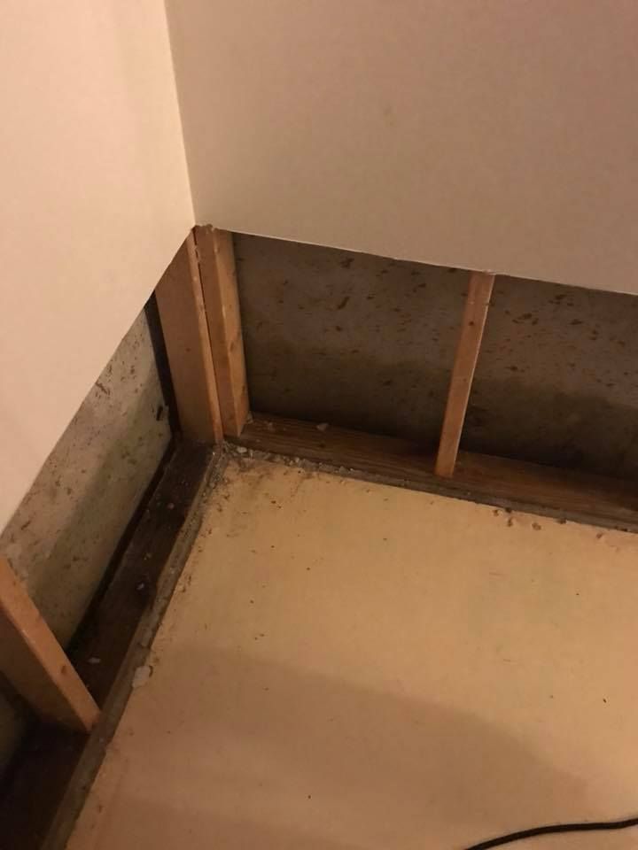 A corner of a basement showing concrete walls and exposed wooden wall studs above a concrete floor.