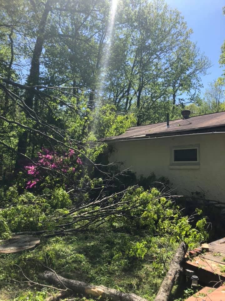 A fallen tree lies across a yard and against the side of a house,