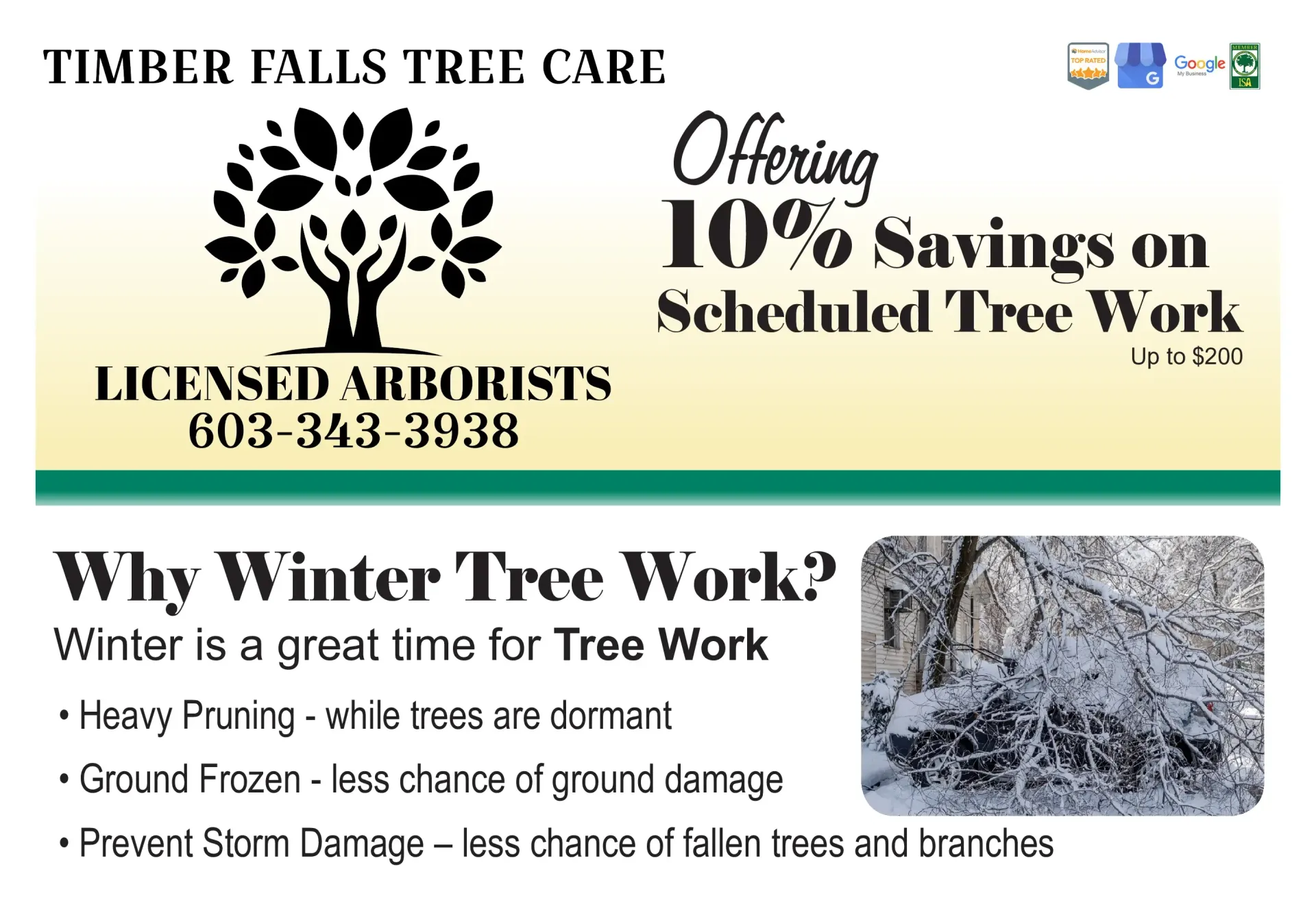 Ad for Timber Falls Tree Care: offering 10% savings. Black tree logo, white text on green background, winter work benefits.