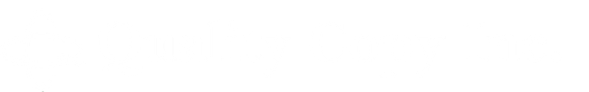 White shape with a gradient to the left, likely a logo or background element.