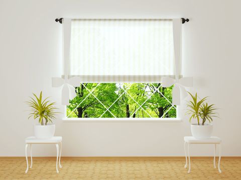 close up image of blinds 