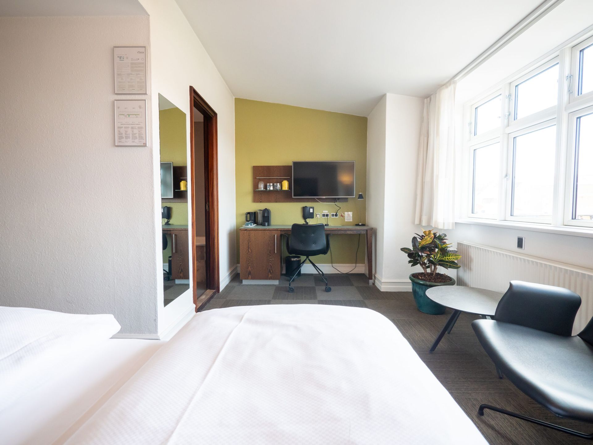 Hotel room with a desk, TV, chair, bed, mirror, and a small table. Green accent wall.