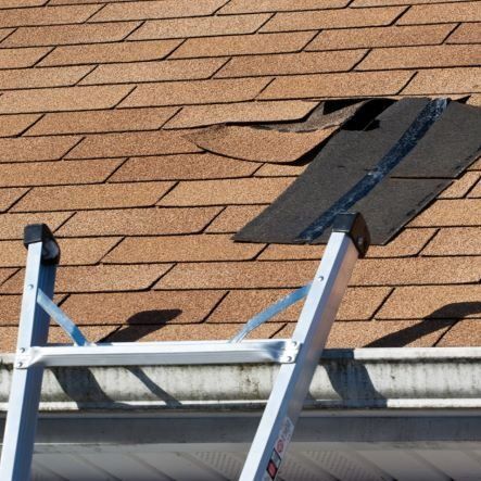 A ladder is sitting on edge of a roof with shingles missing in need of roof repair.