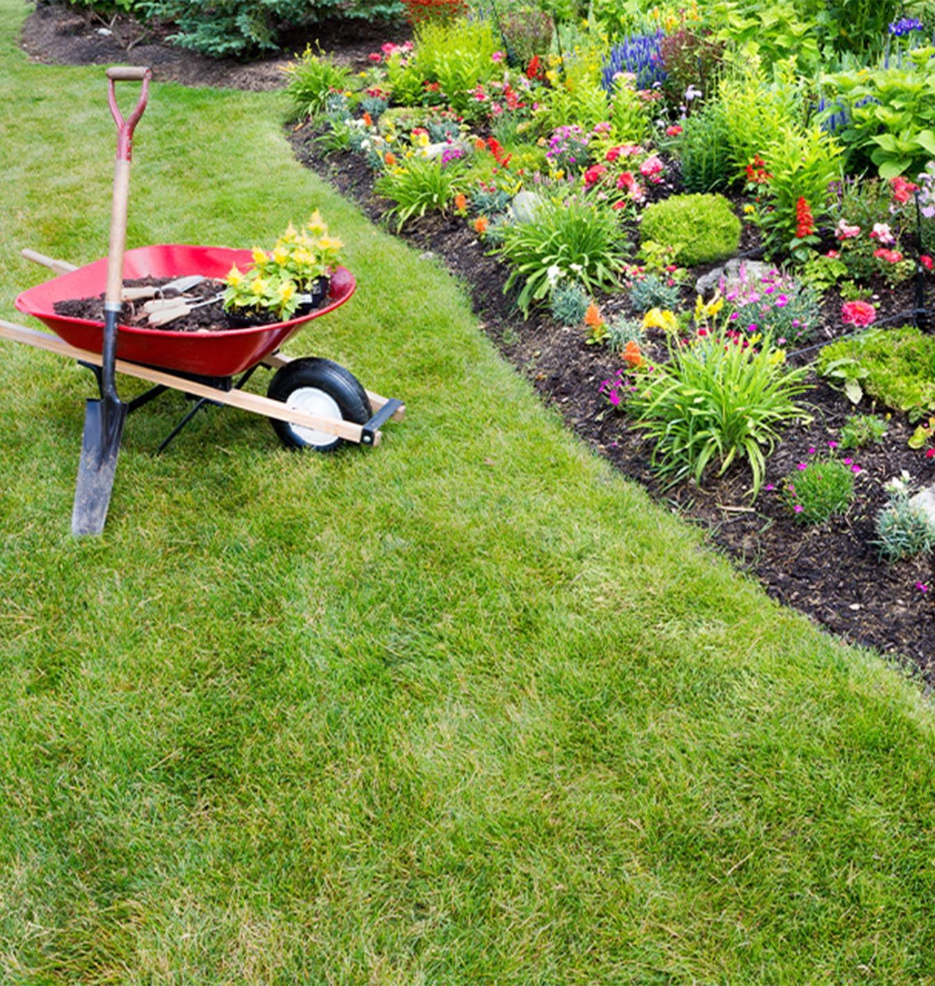 A man is using a green and yellow lawn mower to cut the grass.
