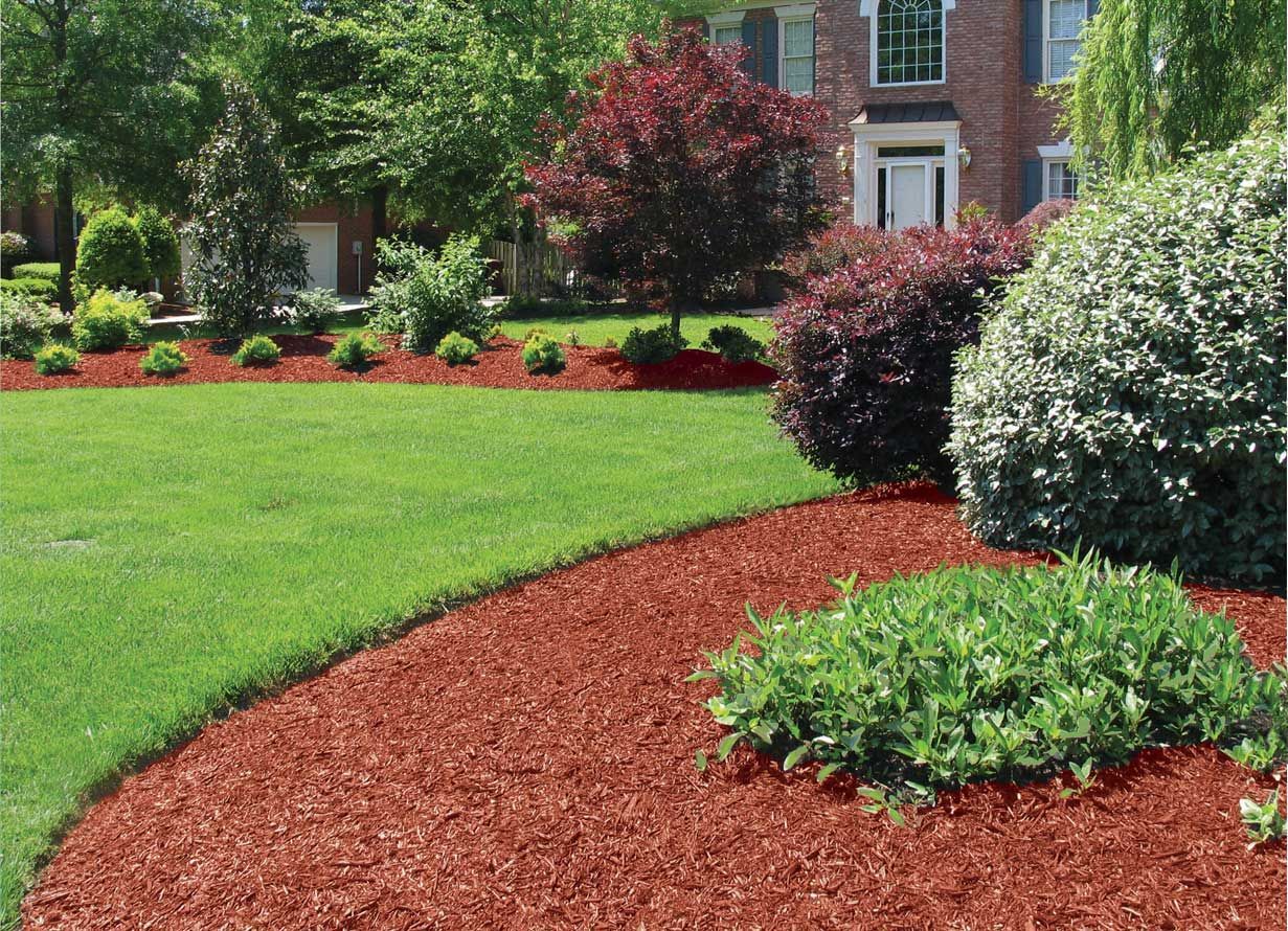 A man is mowing a lush green lawn with a lawn mower.