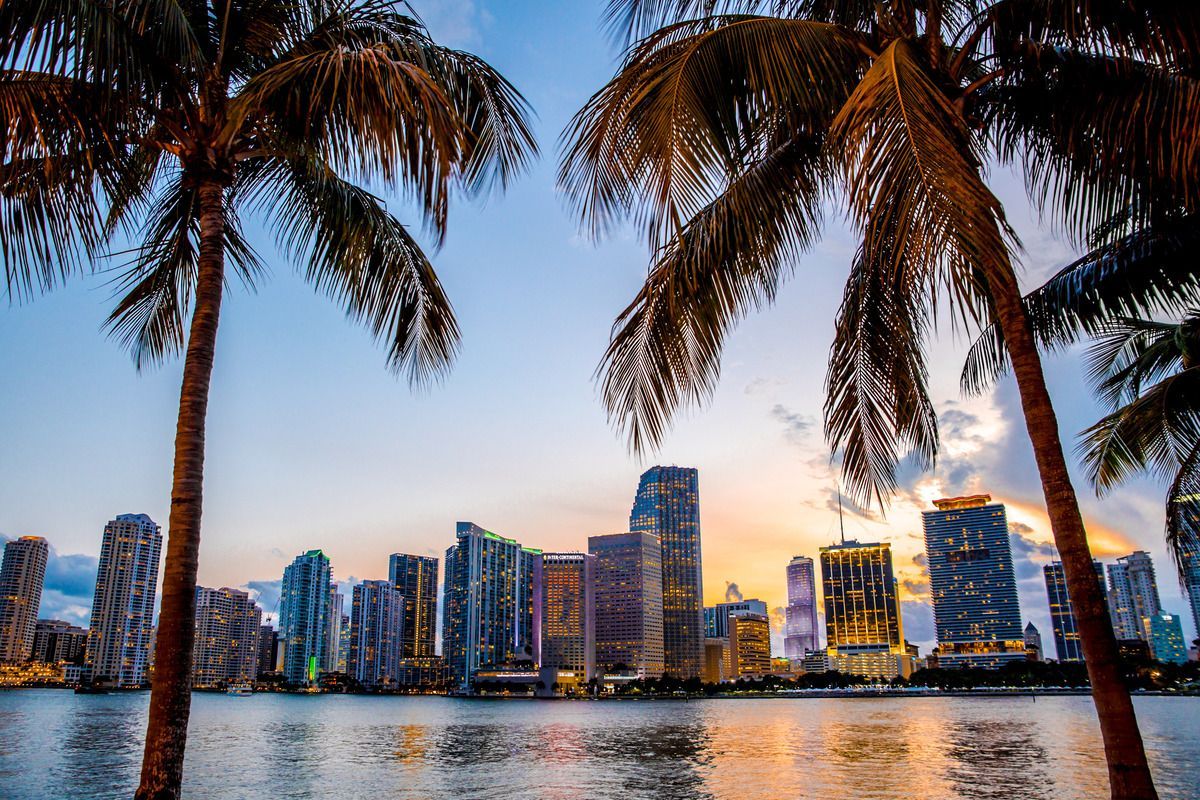 palm trees and a body of water in front of a city skyline