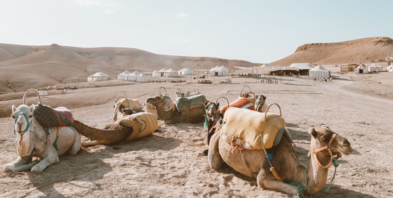 Experience the breathtaking desert landscapes of Morocco, from the rocky Agafay Desert to the golden