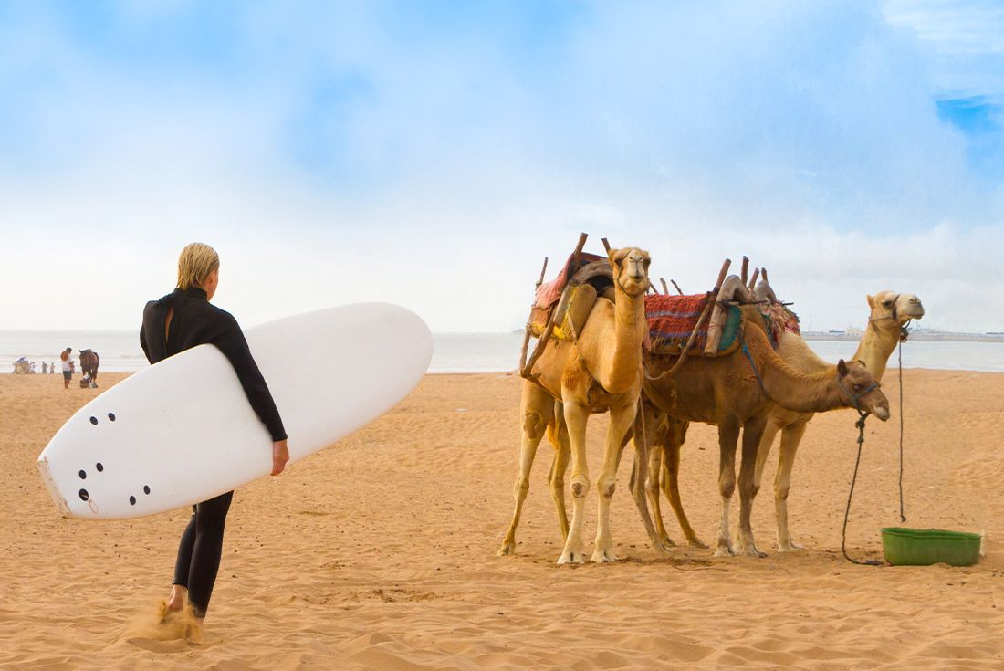 Discover the best beach destinations in Morocco for sun, surf, and relaxation.