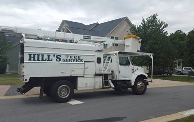 hills tree service truck