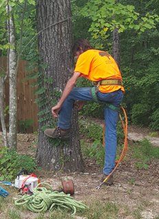 Tree Services Cary & Mebane, NC