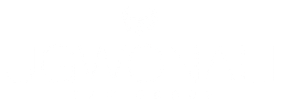 Blank white image.