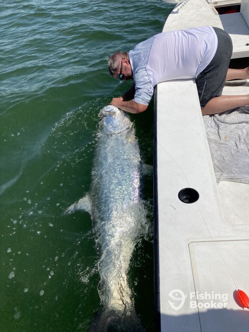 A man is kneeling down next to a large fish in the water.