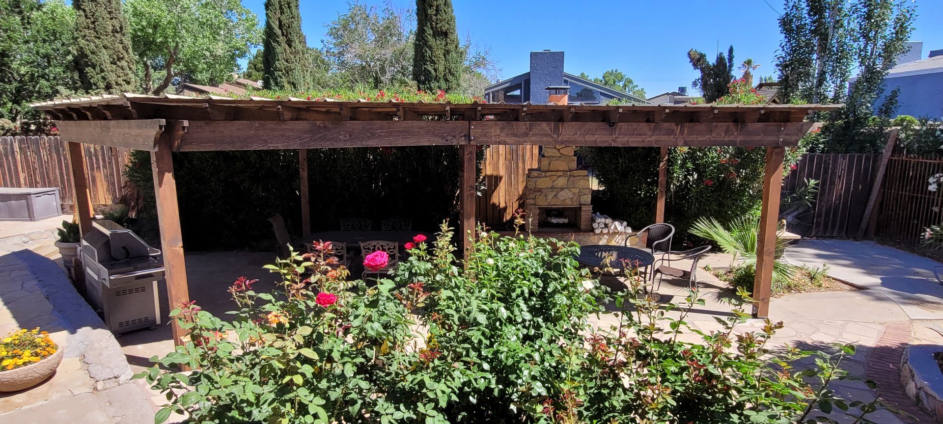 Wooden pergola in a backyard with lush green plants and a clear blue sky overhead.