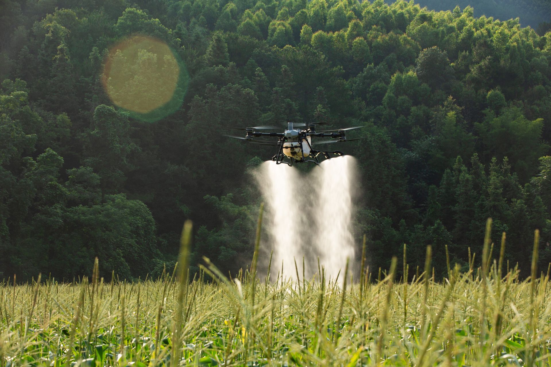 Drone spraying crops in a field, with a forest in the background and a bright sun flare.