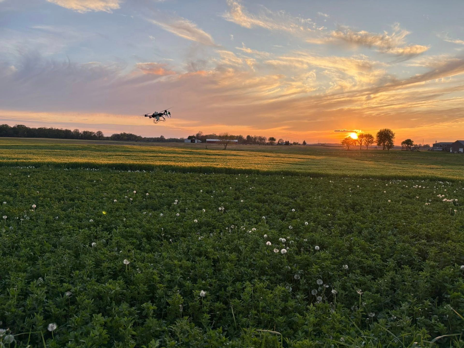 Drone on a grassy field with a backdrop of trees and a blue sky.