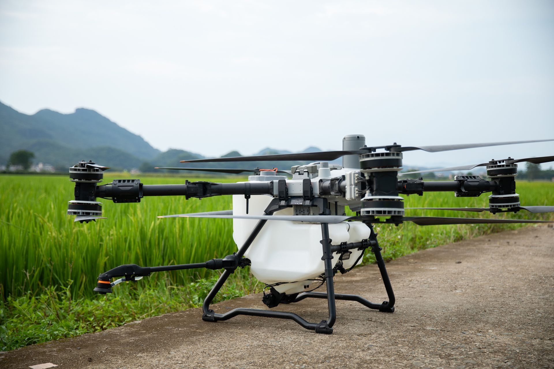 Agricultural drone with a white tank sprays a field of green crops. Mountains in the background.