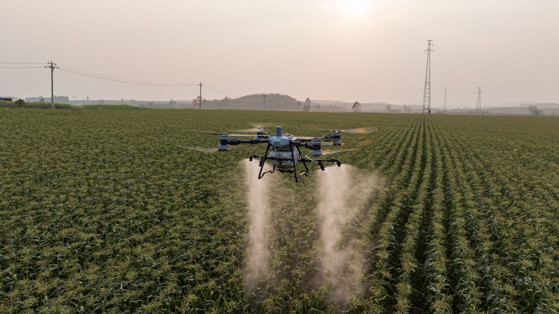 Drone spraying field; sunset in the background.