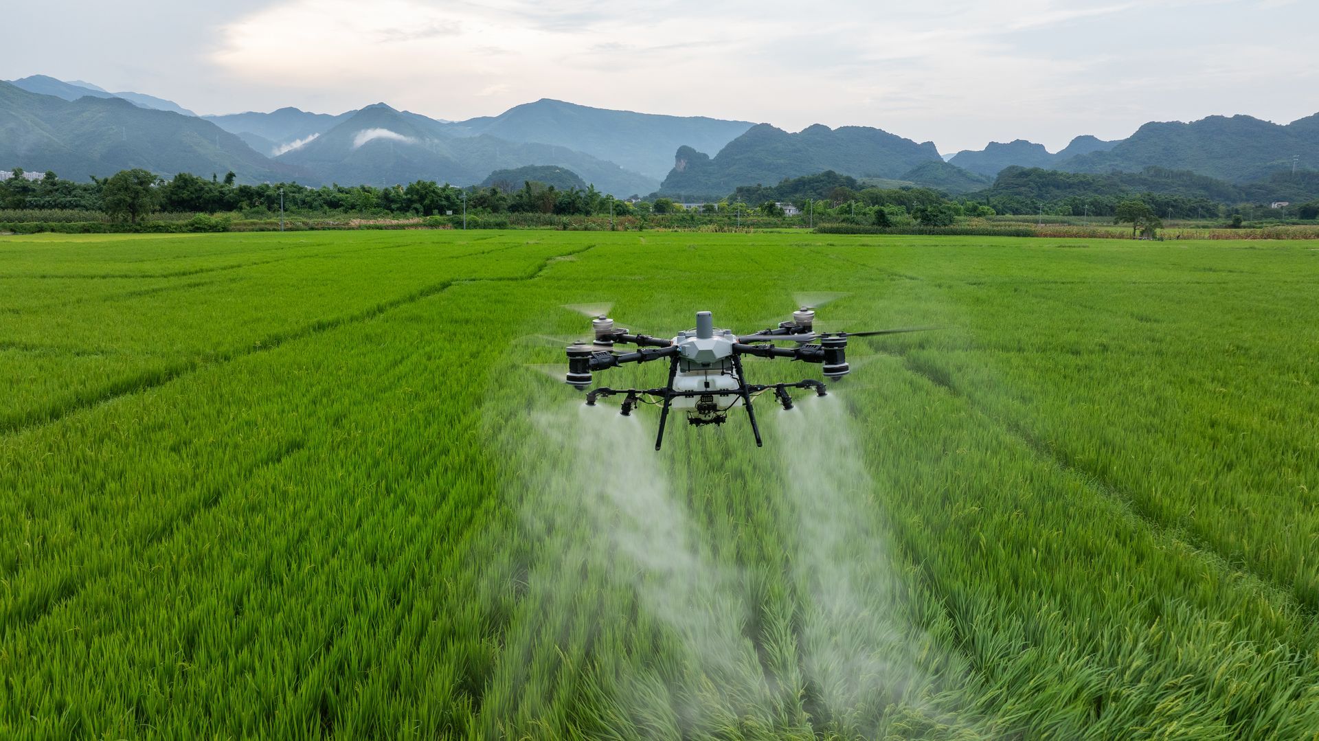 Drone spraying crops in a green field with mountains in the background.