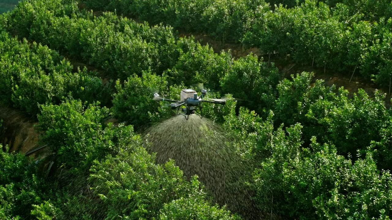 Drone flying over a green field at sunrise, with mountains in the background.