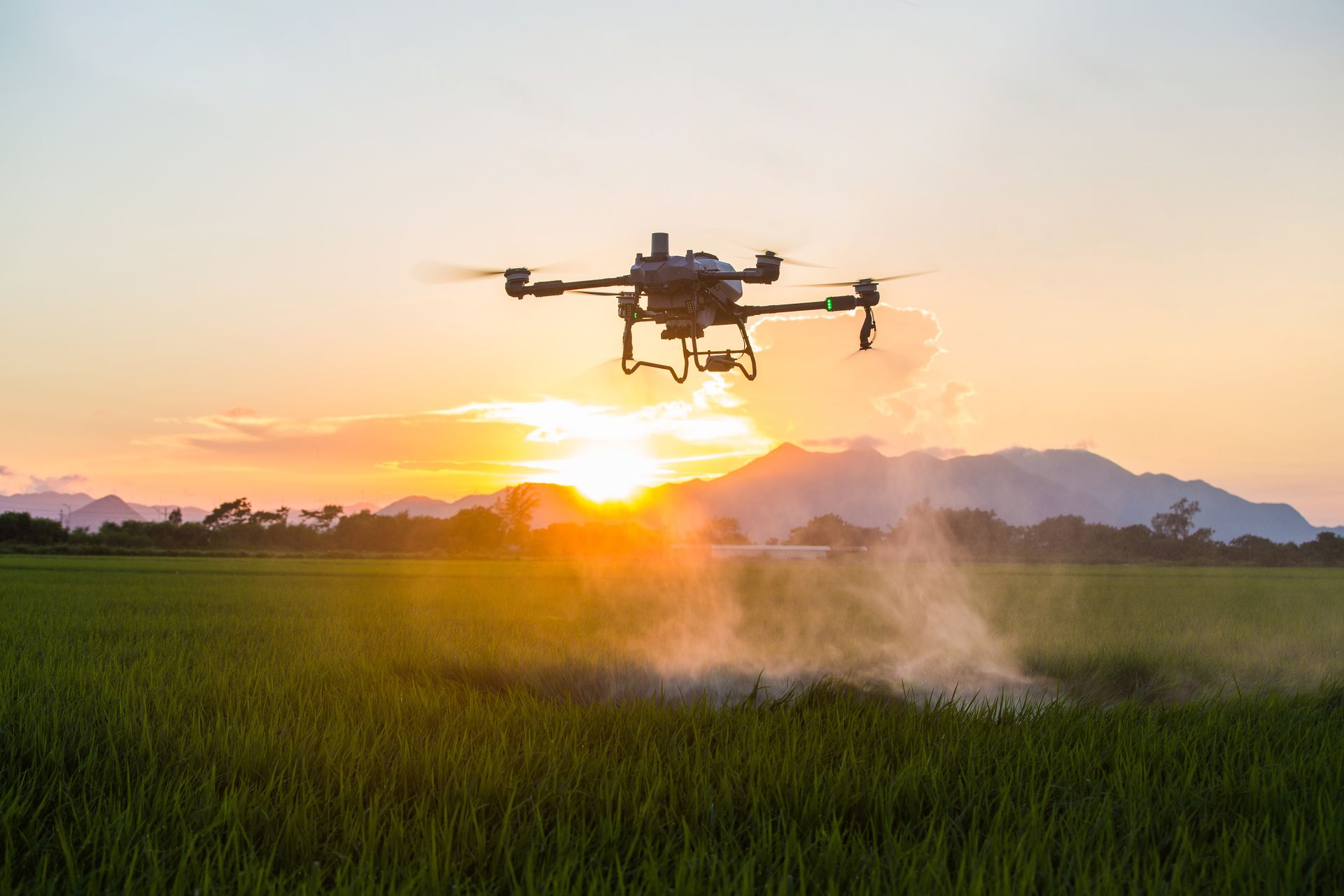 Drone spraying crop field at sunset.