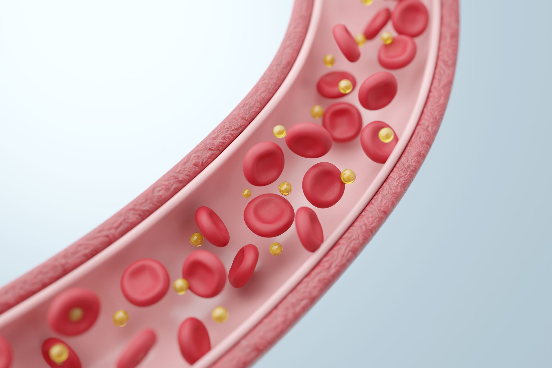 Cross-section of blood vessel with red blood cells and yellow cholesterol particles.