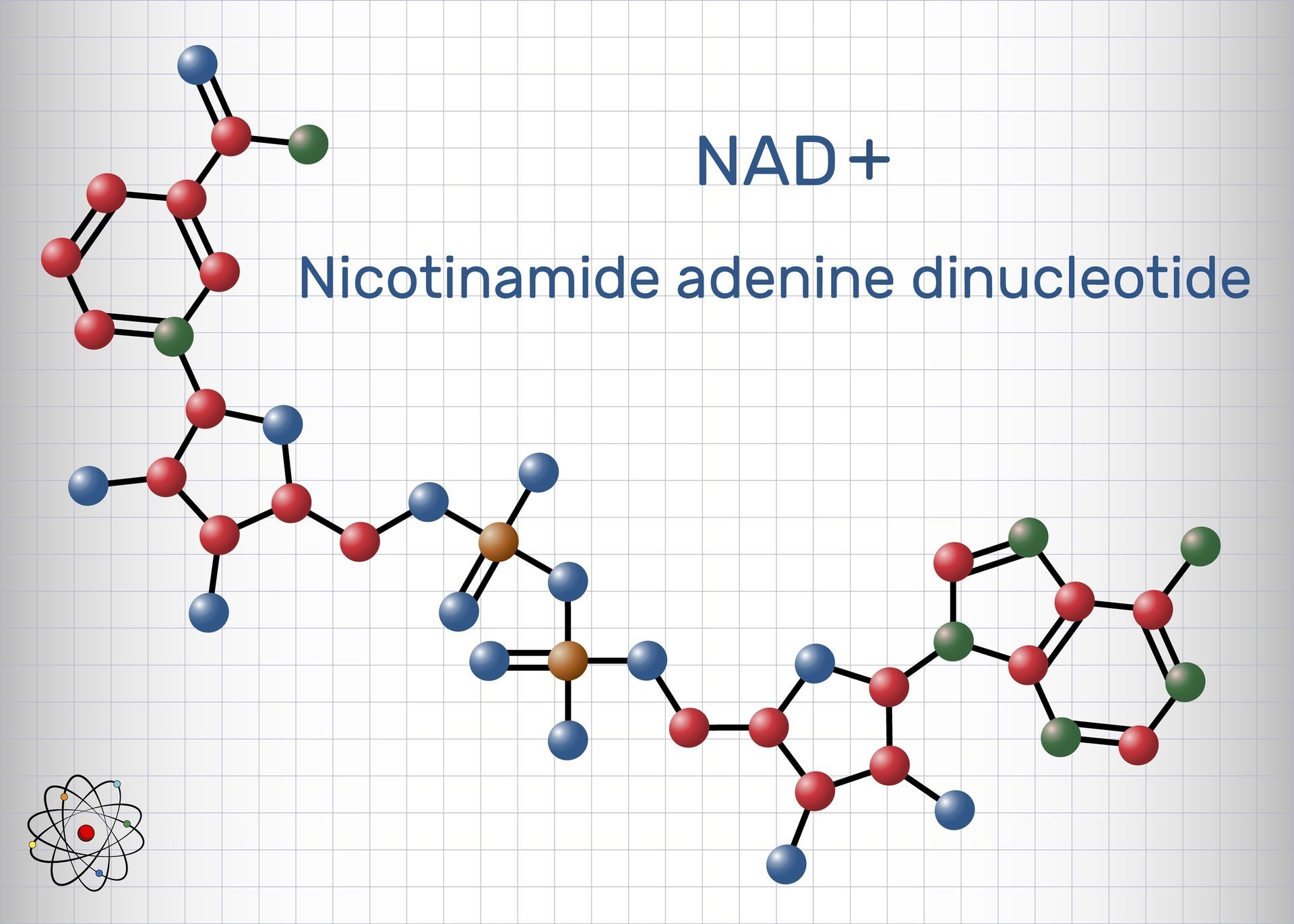 Molecular structure of NAD+, a coenzyme; red, green, blue, brown, and white colors; atoms and bonds shown.