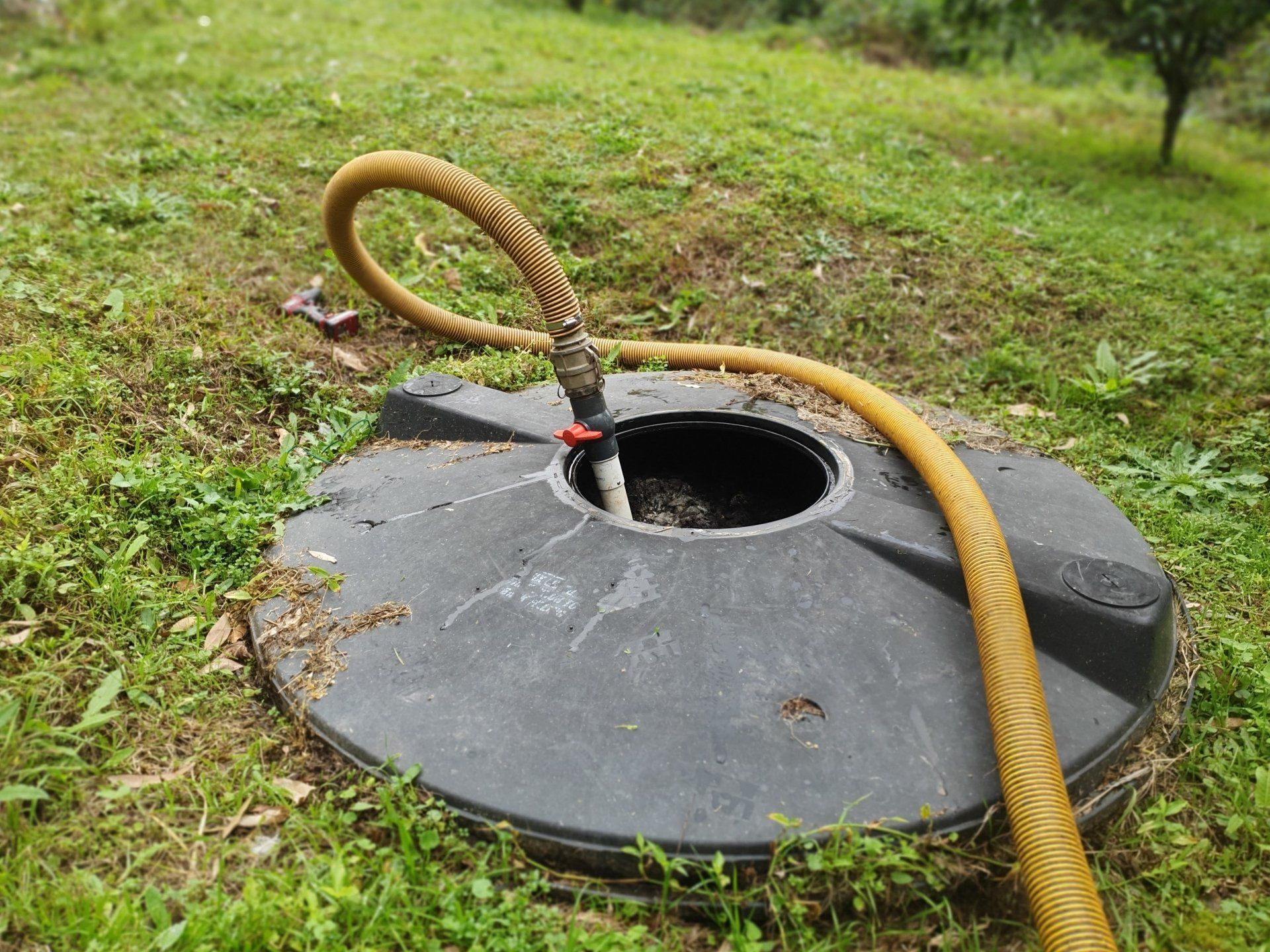 Sewer Tank Disposal — Pootanky Murwillumbah, NSW