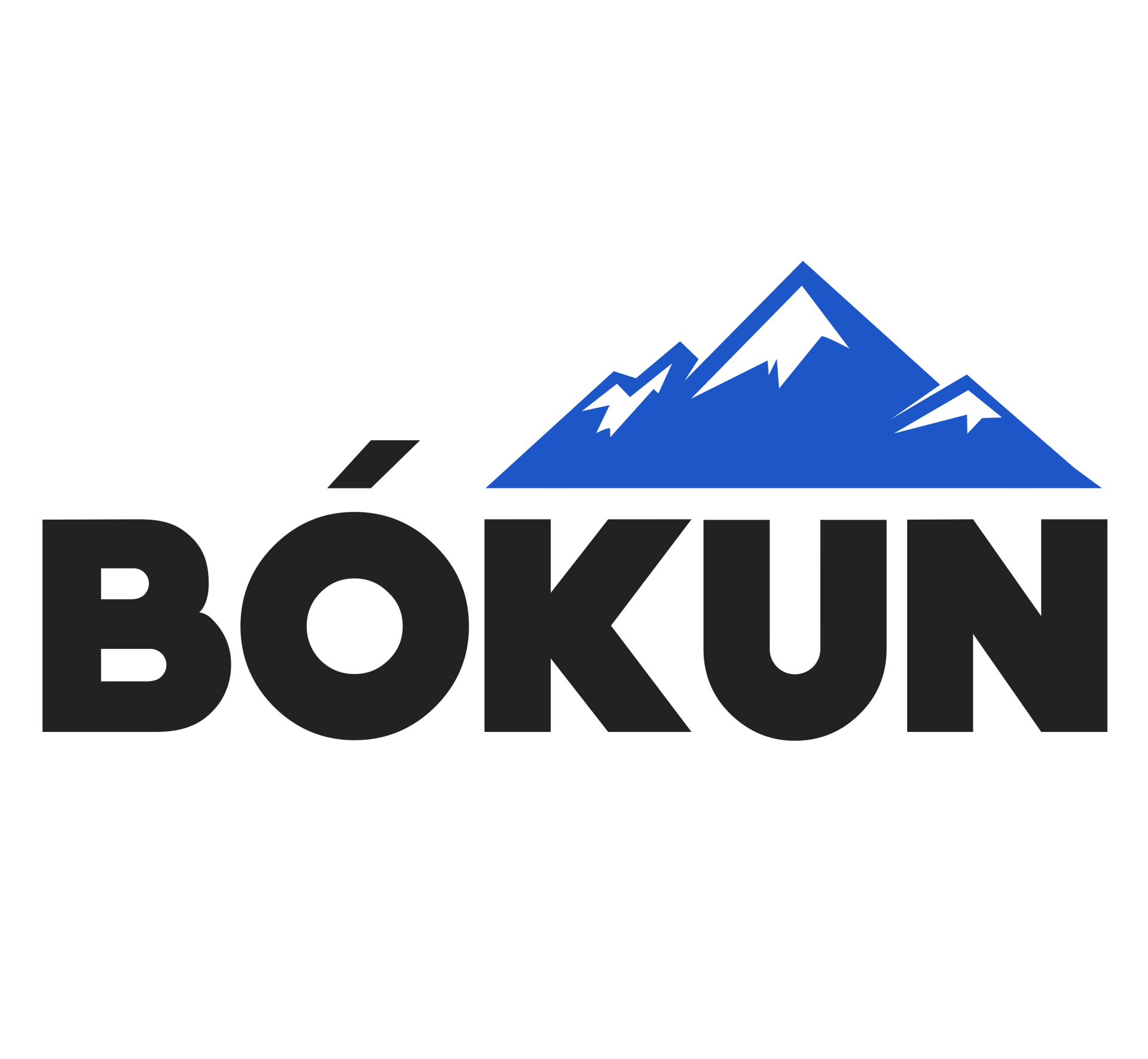 (c) Bokun.io